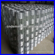 High Quality Galvanized Grassland Fence/Field Fence/Grassland Netting (Gold supplier/Manufacturer/ISO)